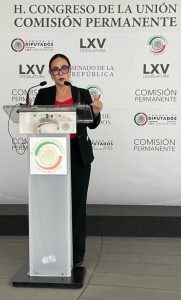 Propone senadora Nancy Sánchez crear Registro Nacional de Delincuentes Sexuales