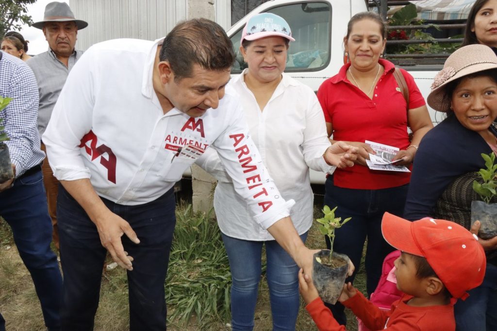 Senador Armenta llama a sumarse a jornadas de reforestación Sembremos Esperanza