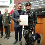Senador Ramírez Aguilar propondrá iniciativa para proteger perros ante el maltrato de los humanos