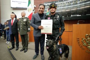 Senador Ramírez Aguilar propondrá iniciativa para proteger perros ante el maltrato de los humanos