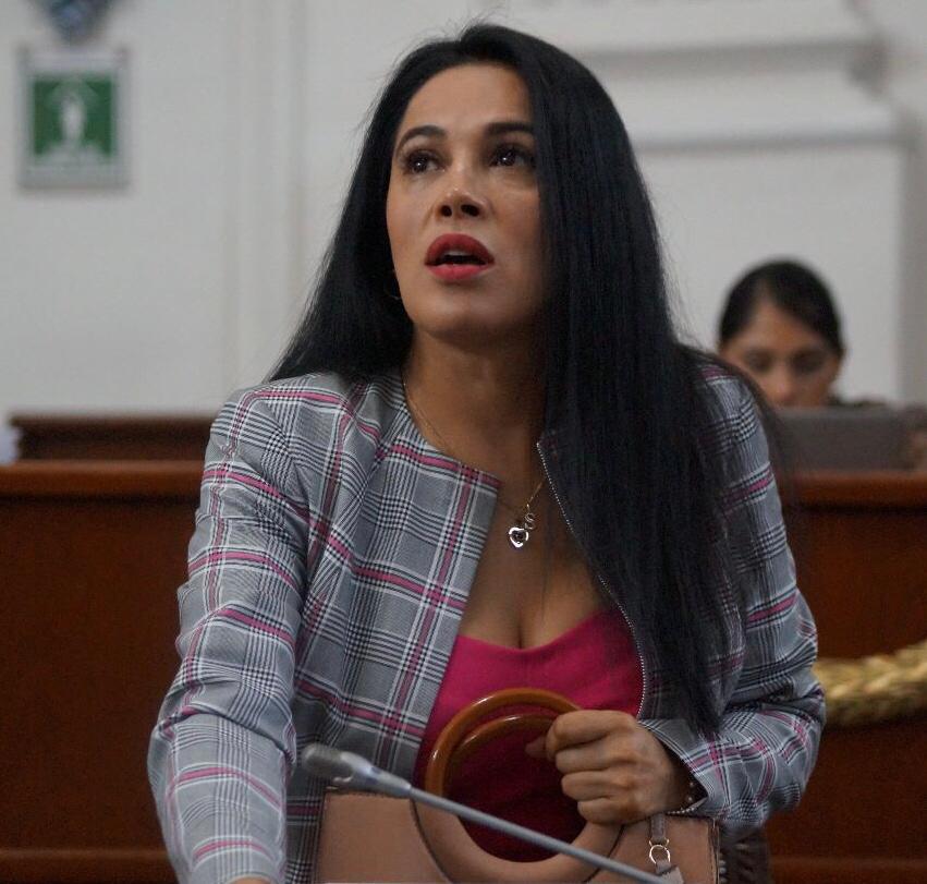 Diputada Silvia Sánchez Barrios, grupo parlamentario del PRI en el Congreso de la CDMX.