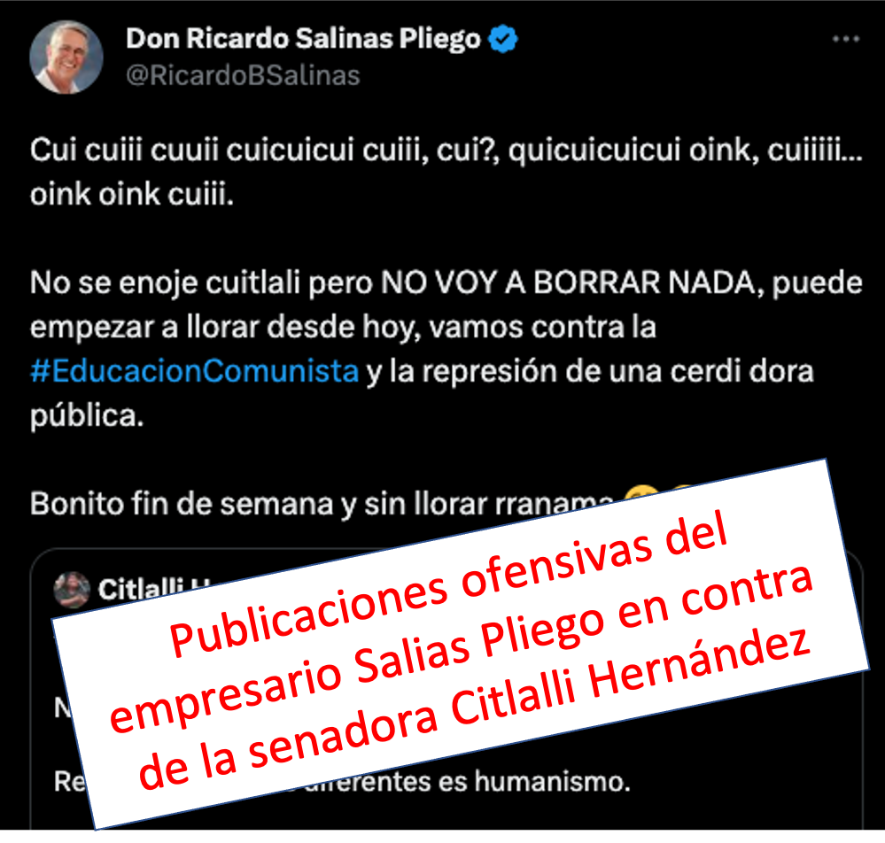 Ejemplo de las publicaciones del empresario Ricardo Salinas Pliego en las que ofende y denigra a la senadora Citlalli Hernández de Morena