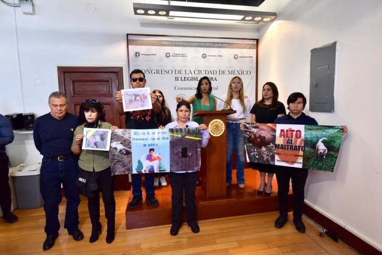 Ana Villagrán desde el 28 de octubre de 2021 ha presentado una serie de iniciativas que inciden en el bienestar animal.