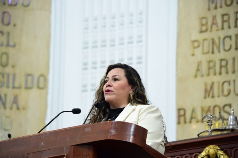 Regular uso de dispositivos electrónicos en escuelas de educación básica, propuso la diputada Mónica Fernández.