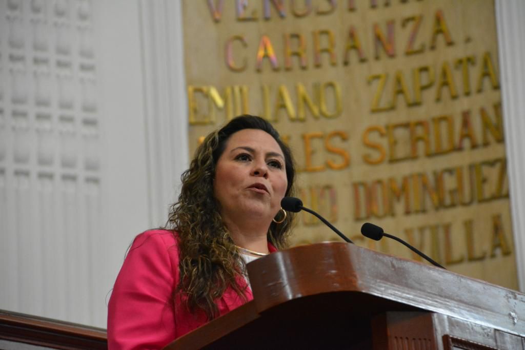 La diputada Mónica Fernández mencionó que, si bien este acto jurídico de la adopción está regulado de manera general por el Código Civil y el Código de Procedimientos Civiles.