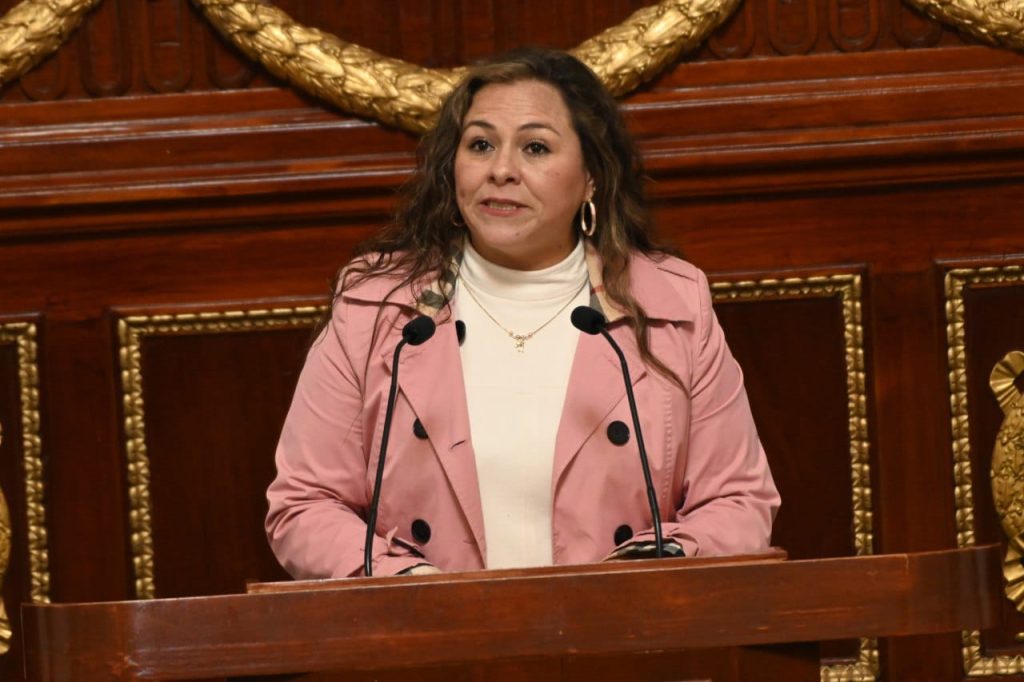 La diputada Mónica Fernández propone crear una ley para ampliar el margen de apoyo a mujeres