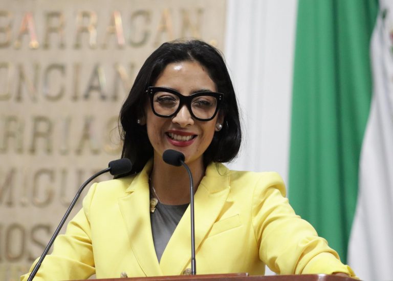 Ana Villagrán Villasana del partido Acción Nacional, en conjunto con la Asociación Mexicana de Arrendadoras de Vehículos (AMAVe) presentó iniciativa.