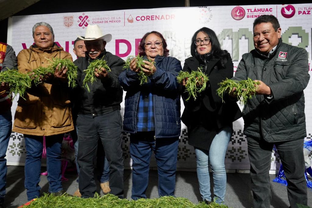 Productores de romeritos esperan comercializar este mes seis mil toneladas de este producto: Silvia Sánchez Barrios.