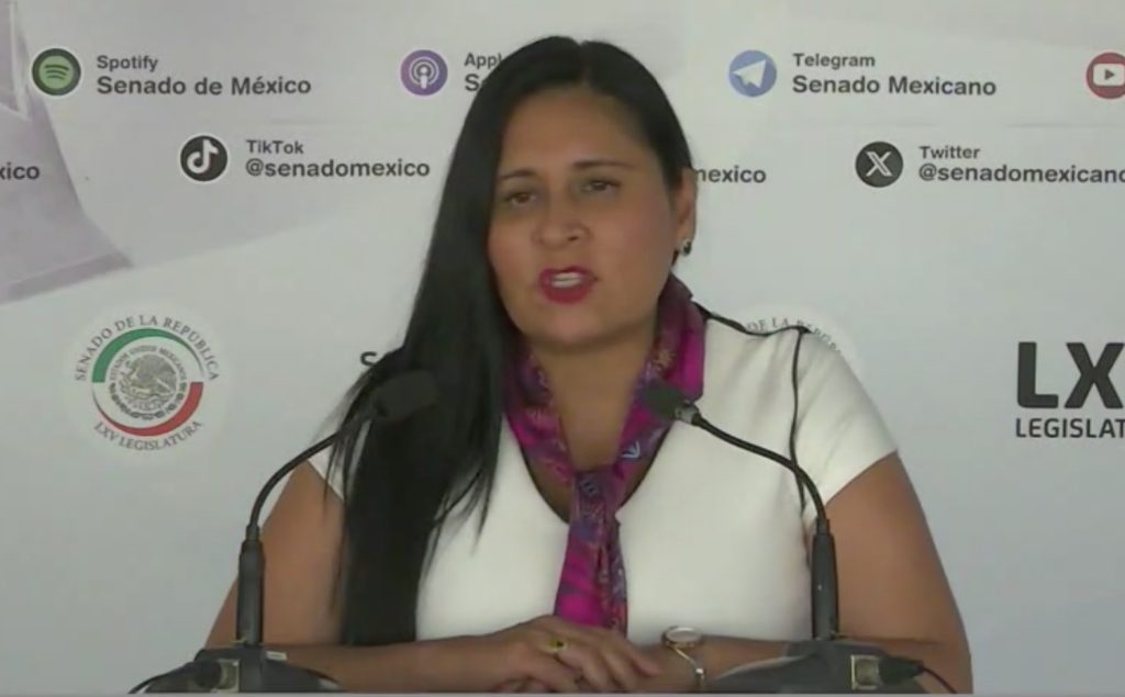 En solicitud para desaparecer poderes en Guerrero, Mesa Directiva se ha conducido con apego a normas internas: senadora Ana Lilia Rivera.