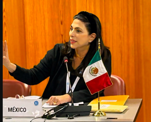 La presidenta de la Mesa Directiva de la Cámara de Diputados, Marcela Guerra Castillo, demandó a los gobiernos federal, estatales y municipales asumir sus responsabilidades.
