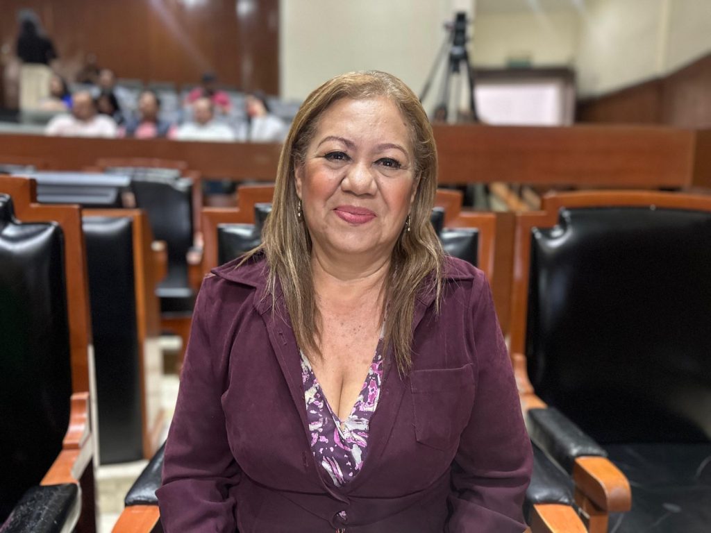 La legisladora de Morena del Congreso de Jalisco Leticia Pérez, plantea combatir el cártel inmobiliario.