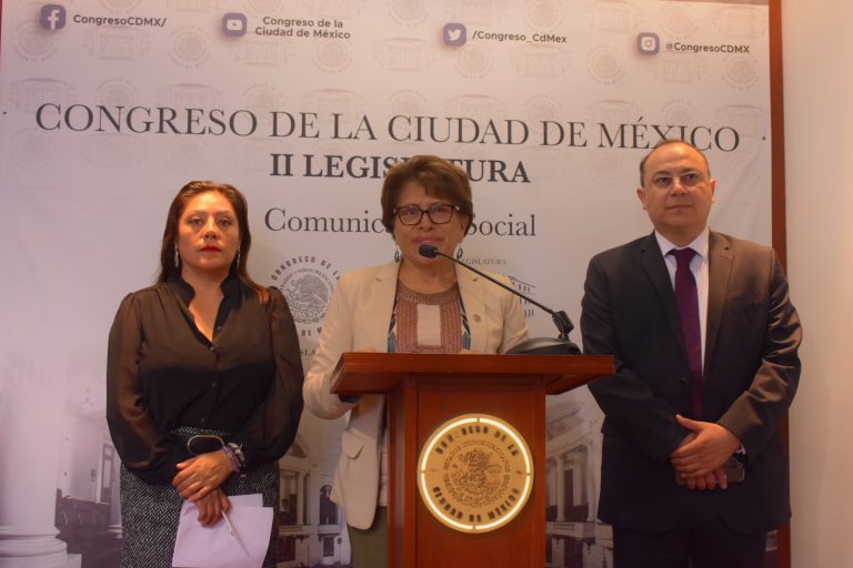 Diputada Martha Ávila, apoya la remoción de la consejera electoral Carolina del Ángel Cruz.
