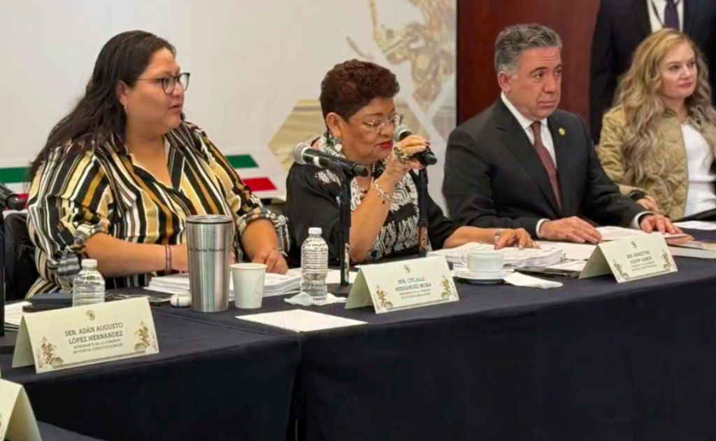 Las senadoras Ernestina Godoy Ramos, Citlalli Hernández Mora, convocaron a los integrantes de los órganos legislativos para dictaminar la minuta.