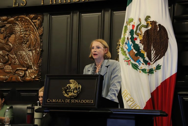 La senadora Laura Itzel Castillo Juárez, hija de Heberto Castillo, aseveró que los fundadores del PMT buscaron restructurar al Poder Judicial para acabar con la corrupción a través de la elección popular.