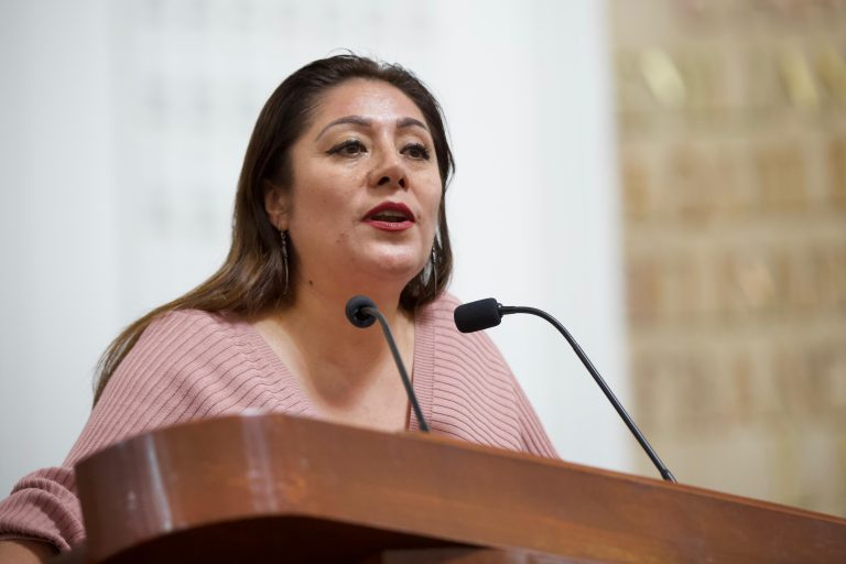 La labor de los 66 legisladores del Congreso de la CDMX es servir a los habitantes de esta metrópoli, afirmó la diputada Xóchitl Bravo Espinosa.