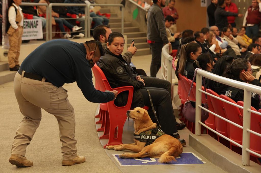En Tecámac se impulsa la protección animal