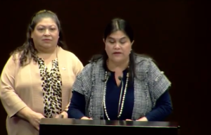 Senadora Guadalupe Chavira recuerda que los órganos autónomos no respondían a los intereses del pueblo