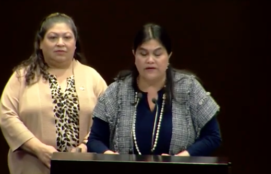 Senadora Guadalupe Chavira recuerda que los órganos autónomos no respondían a los intereses del pueblo