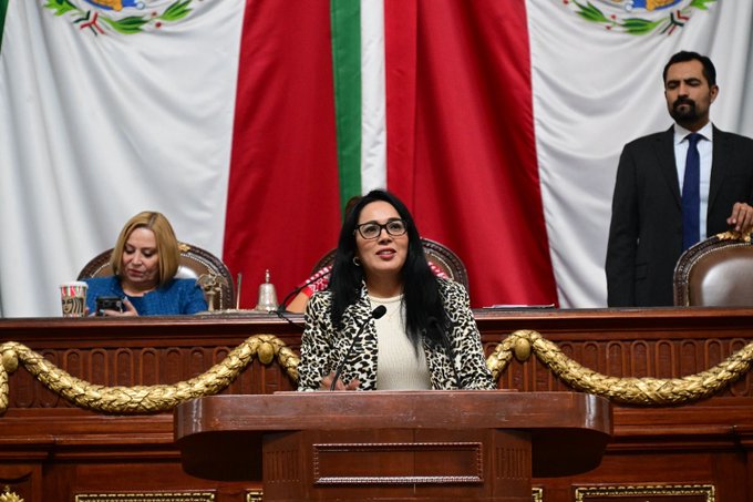 La coordinadora de la Asociación Parlamentaria Mujeres por el Comercio Feminista e Incluyente en el Congreso de la Ciudad de México, diputada Esther Silvia Sánchez Barrios propone una mayor vigilancia.