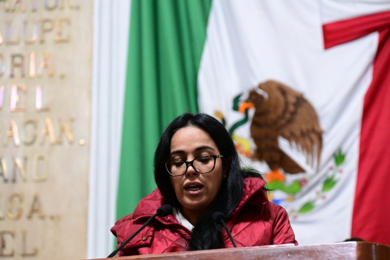 Coordinadora de la Asociación Parlamentaria Mujeres por el Comercio Feminista e Incluyente, diputada Silvia Sánchez Barrios.