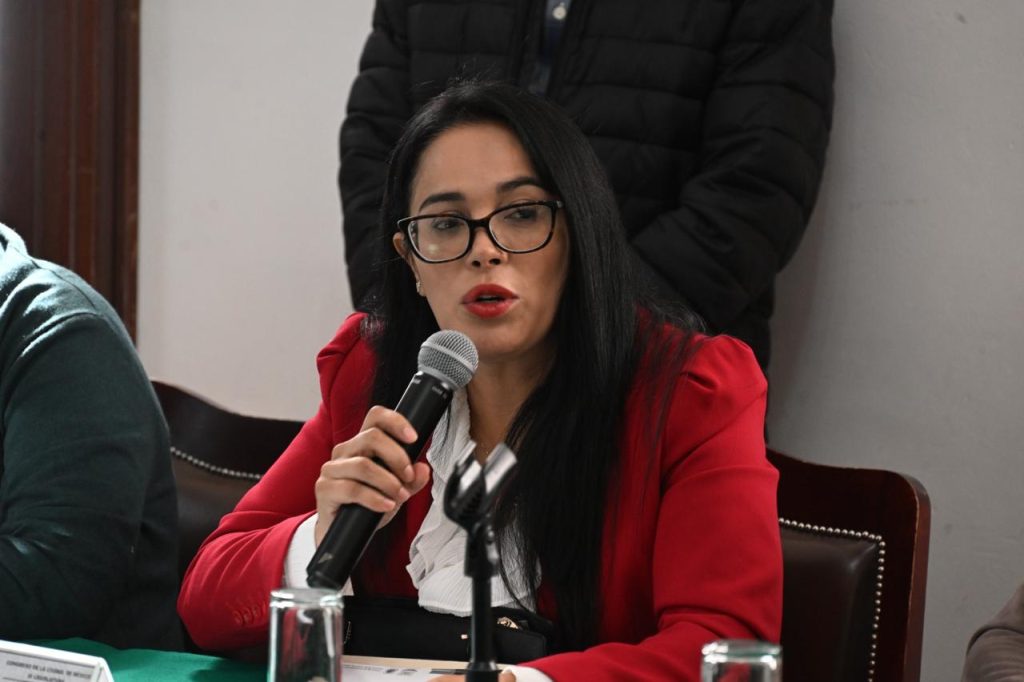 Coordinadora de la Asociación Parlamentaria Mujeres por el Comercio Feminista e Incluyente diputada Esther Silvia Sánchez Barrios.