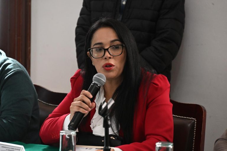 Coordinadora de la Asociación Parlamentaria Mujeres por el Comercio Feminista e Incluyente diputada Esther Silvia Sánchez Barrios.