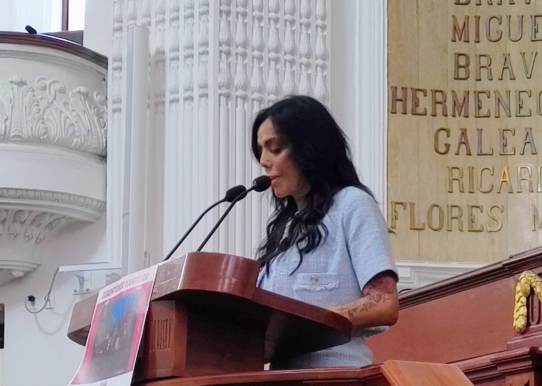 Coordinadora de la Asociación Parlamentaria Mujeres por el comercio Feminista e Incluyente, Diana Sánchez Barrios.
