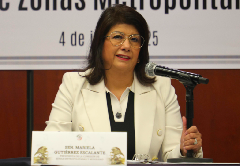 Se modificará la Ley General de Movilidad Vial en beneficio de personas con discapacidad: senadora Mariela Gutiérrez Escalante.