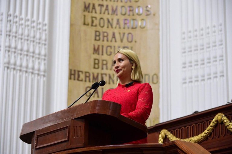 Se busca perfil empático, eficiente y sin corrupciones para el nuevo titular de búsqueda CDMX: diputada Ana Buendía García.