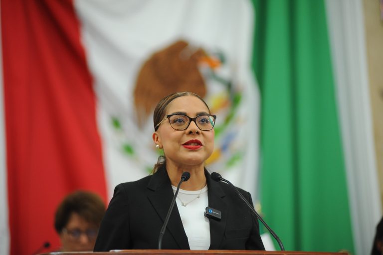 Hoy damos un paso firme hacia la protección de nuestros mercados públicos y a quienes lo hacen posible”, diputada Brenda Ruíz.