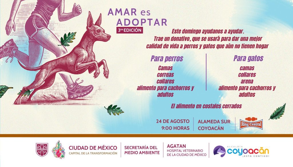 La carrera Amar es Adoptar tuvo como propósito crear conciencia sobre el abandono animal y promover la adopción responsable de perros rescatados: Ana Villagrán.