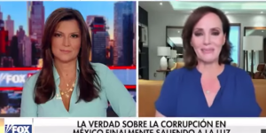 La panista Lilly Téllez fue a Fox News a divulgar falsedades que el diputado Arturo Ávila desmintió con datos duros y verificables