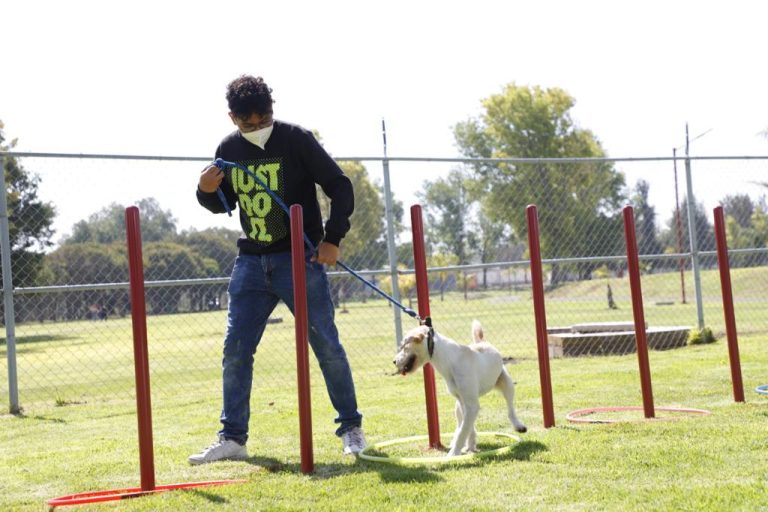 El Parque Canino, con gran aceptación entre los tecamaquenses.
