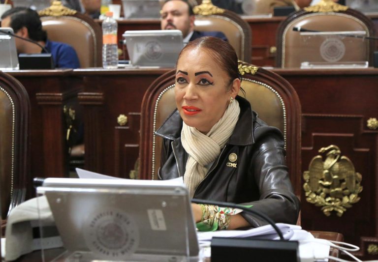 El programa de empleo temporal no debe entenderse como una medida asistencialista, sino como una política pública de seguridad social y prevención del delito: diputada Rebeca Peralta.