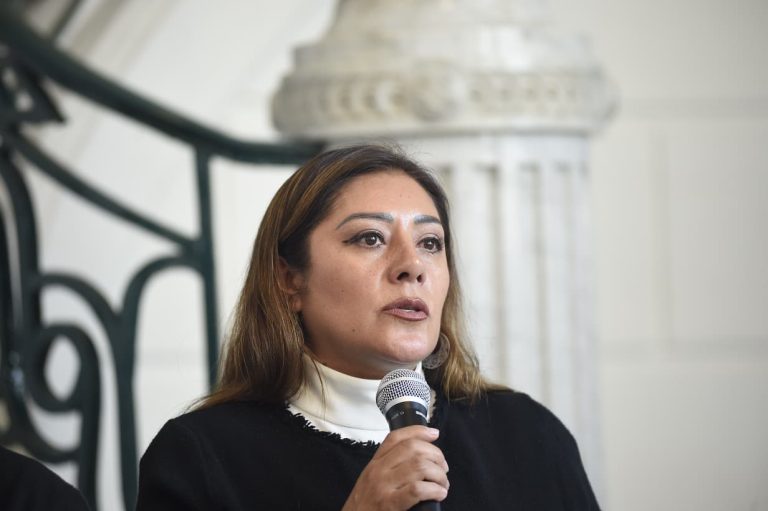 “Nada que ocultar en el caso Refugio Franciscano”; en diálogo abierto y horizontal con refugios construiremos bienestar para los seres sintientes: Morena.