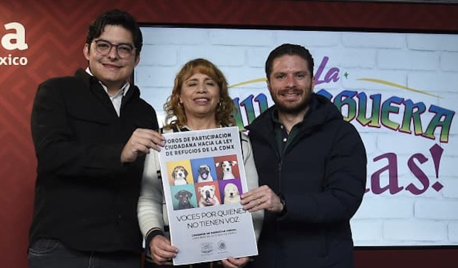 Abre Congreso CDMX registro a foros para construir Ley de Refugios de Animales.