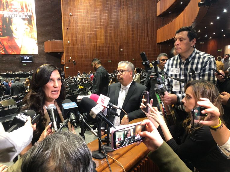 Necesario, conocer la intención de la iniciativa y el alcance de la promoción que puede hacer la persona que esté bajo dicho proceso de revocación: K. López Rabadán.