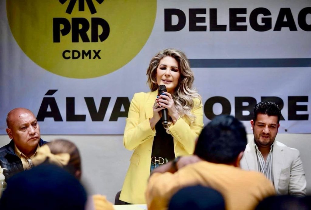 Requiere PRD CDMX liderazgo, lealtad y claridad política: Dip Nora Arias.