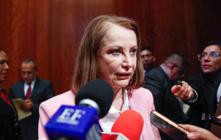 Celebra la senadora Laura Itzel Castillo el trabajo coordinado del Poder Legislativo a través de comisiones bicamerales.